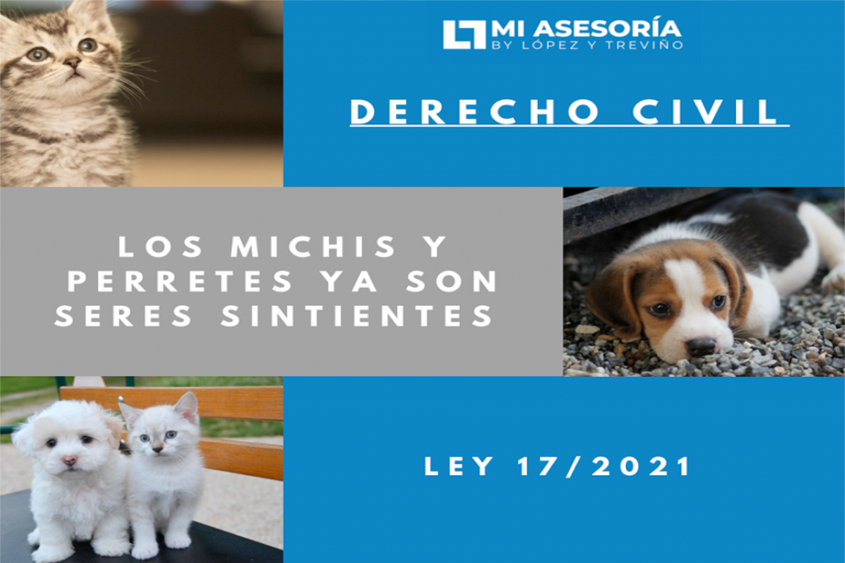 seres sintientes